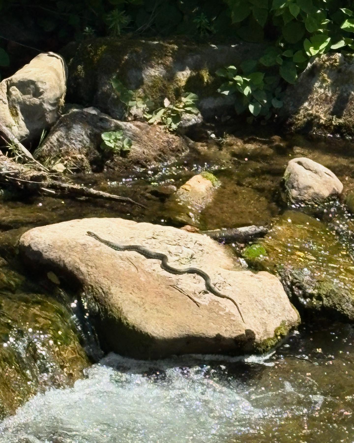 Dag 76 - 18063816398144197.jpg