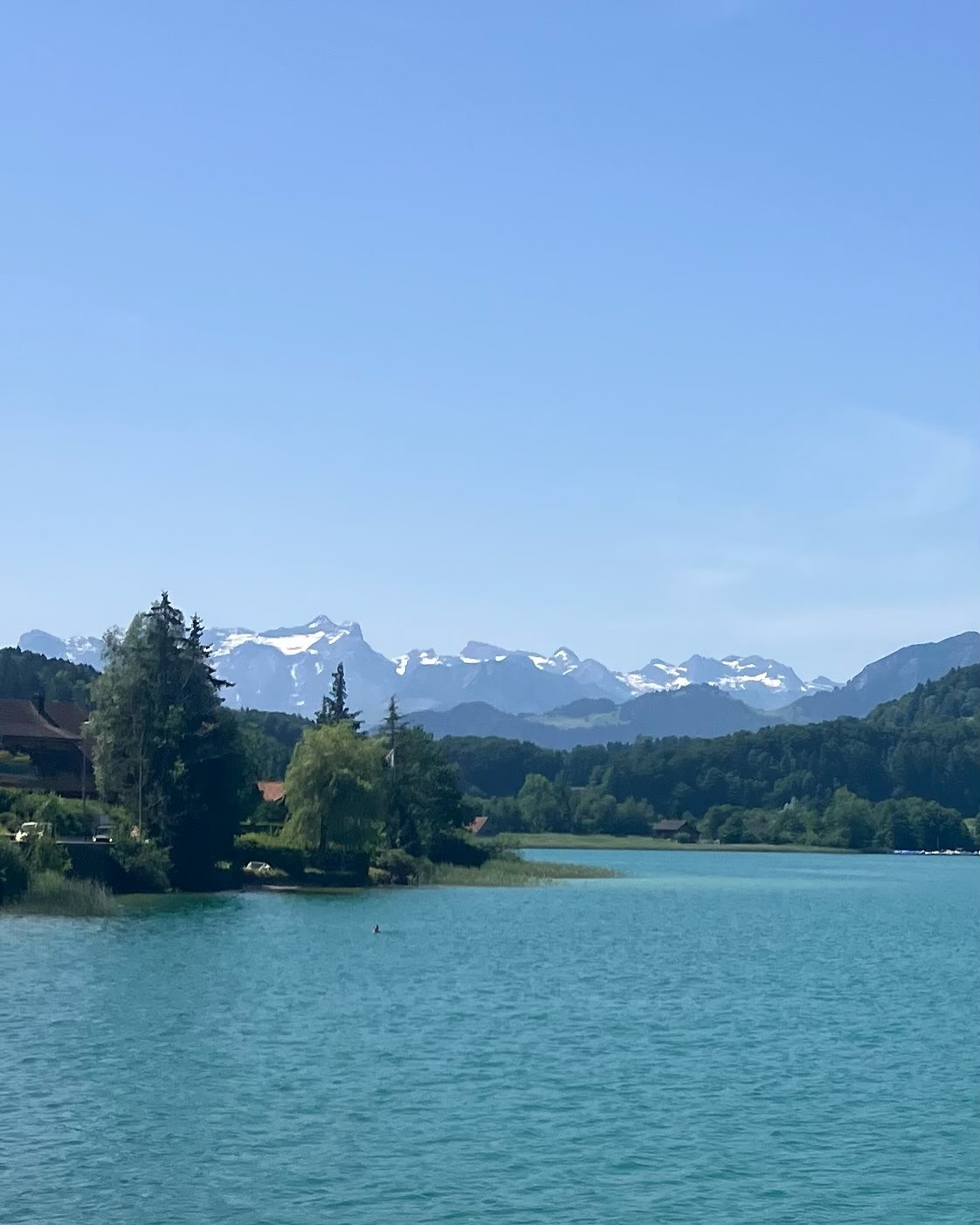 Dag 77 - 18511304284043101.jpg