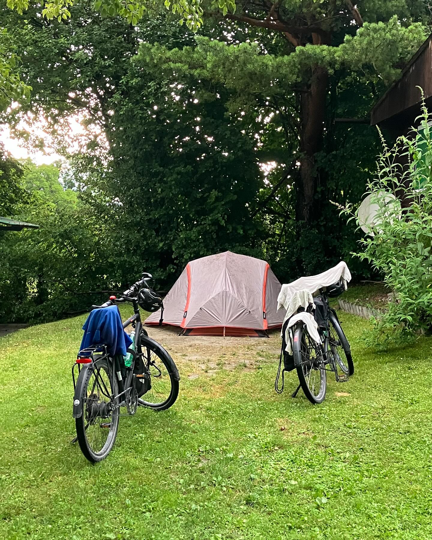 Dag 78 - 17952389858843563.jpg