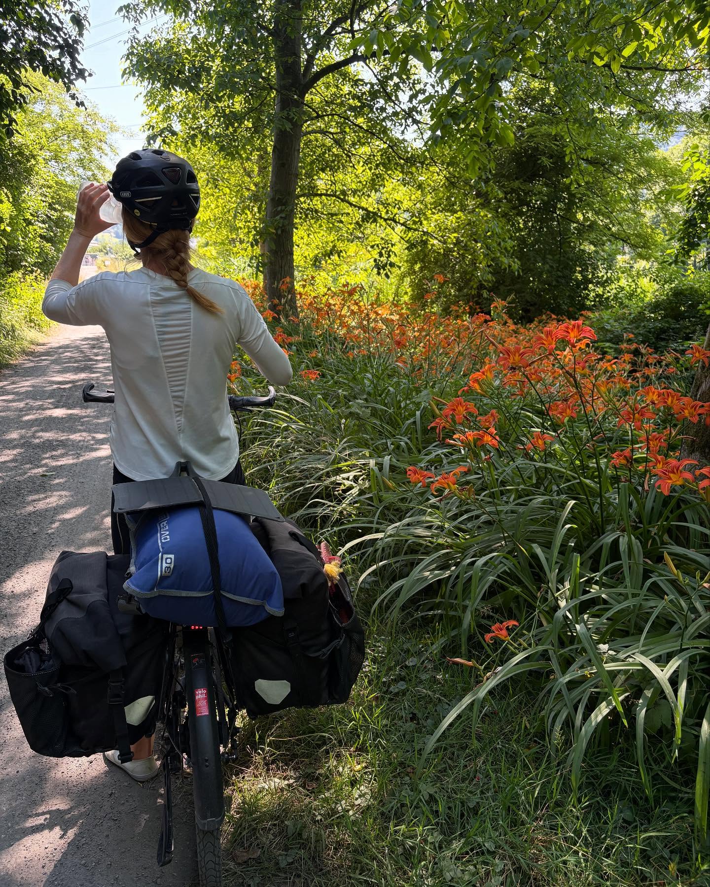 Dag 78 - 18346744456081571.jpg