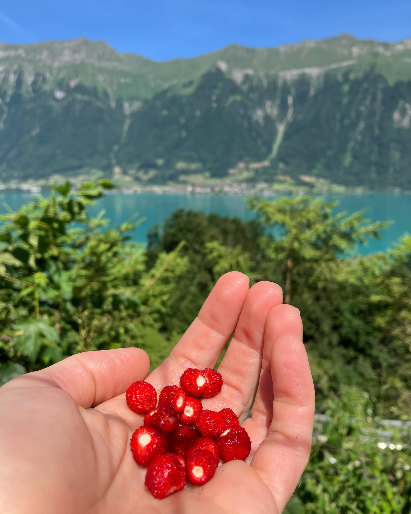 Dag 79 - 18042380690634350.jpg