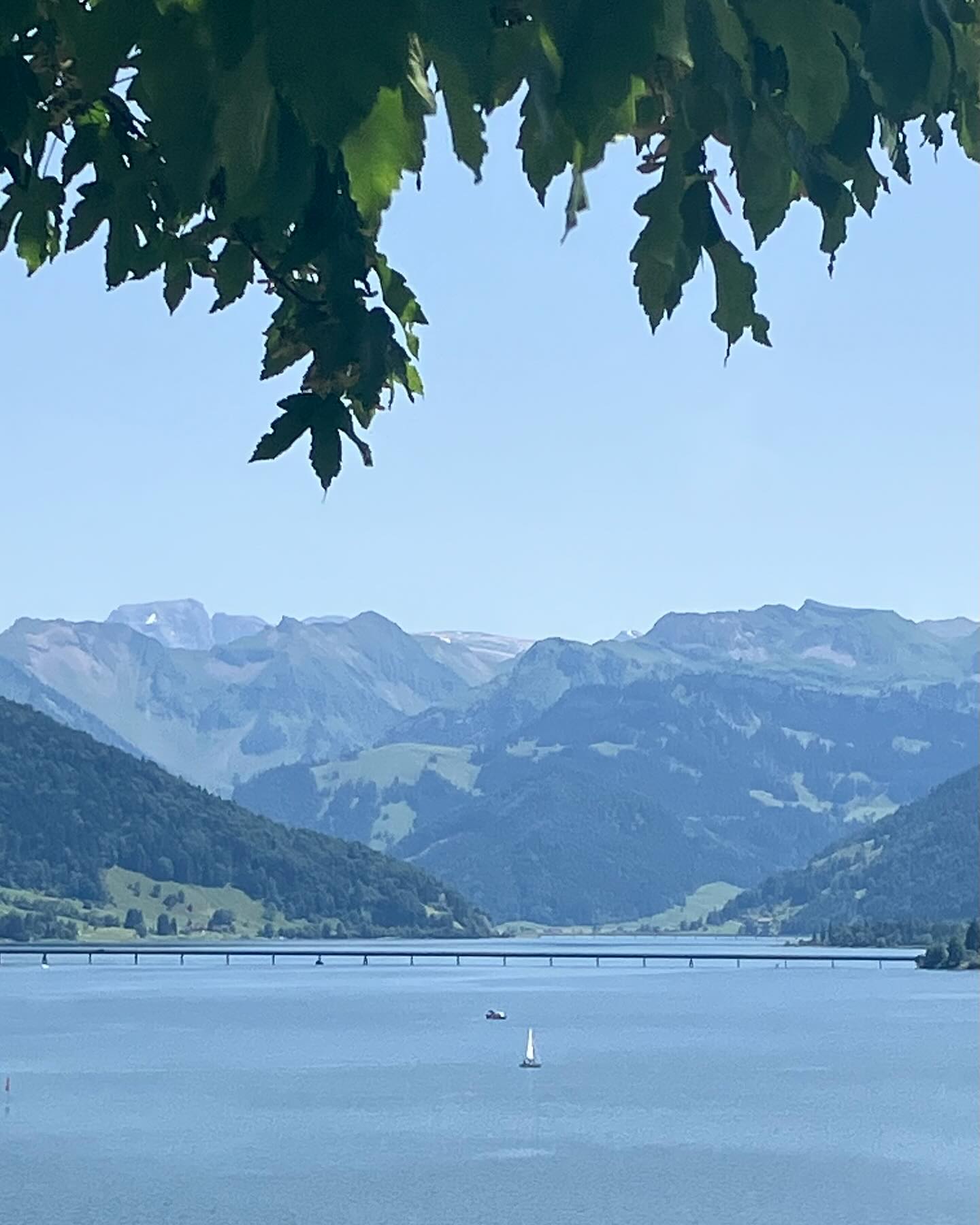 Dag 79 - 18044500718544015.jpg