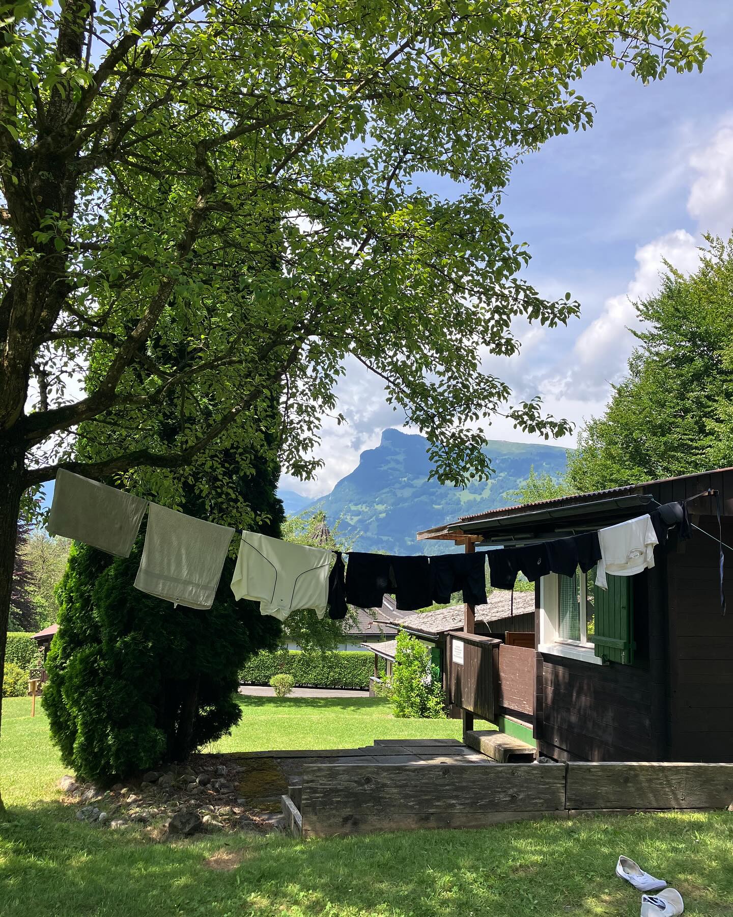 Dag 79 - 18104097859544460.jpg