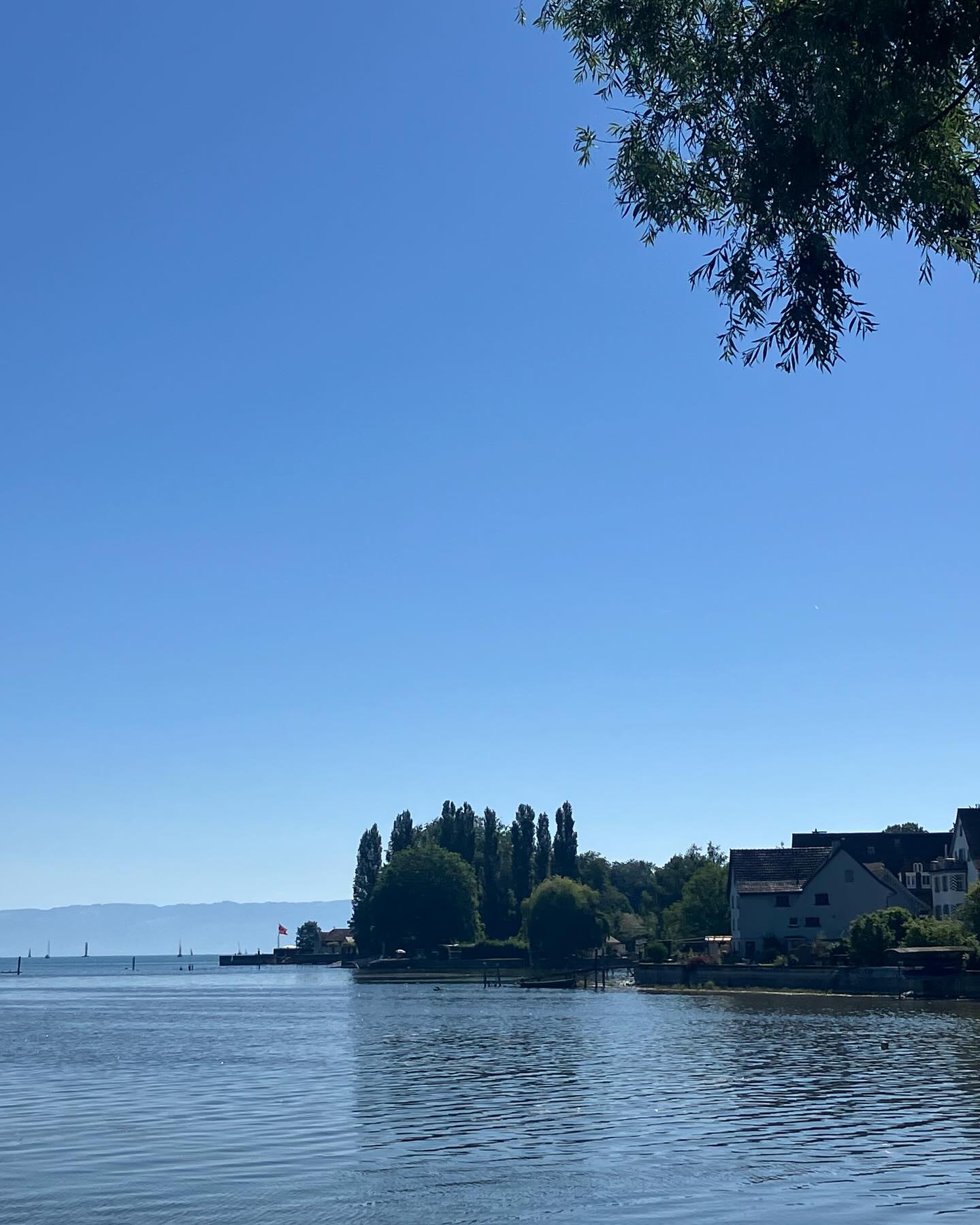 Dag 81 - 18330975901205068.jpg