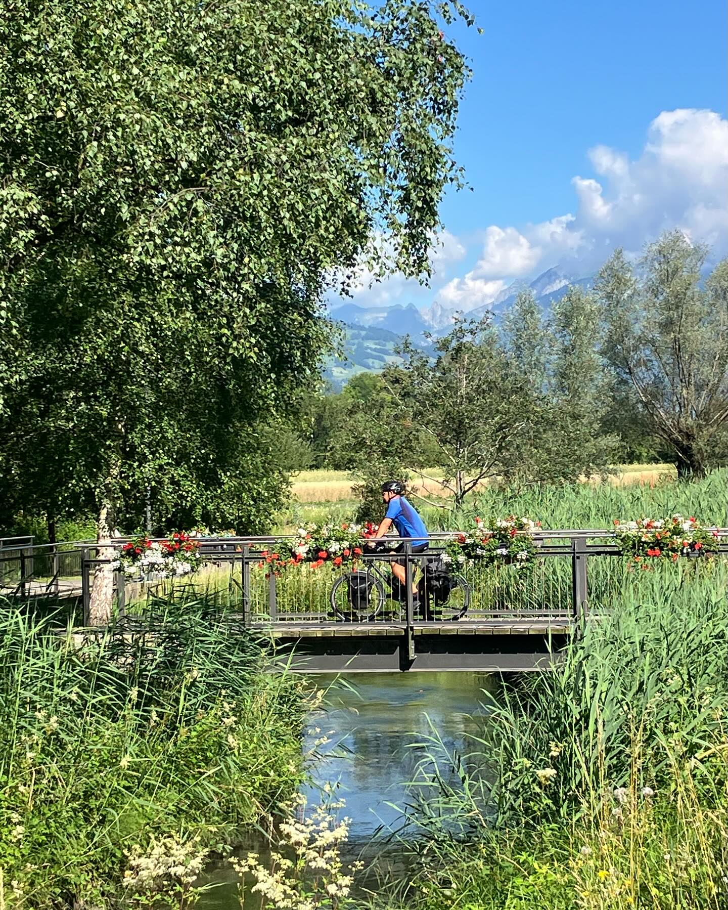 Dag 82 - 18068765858025670.jpg