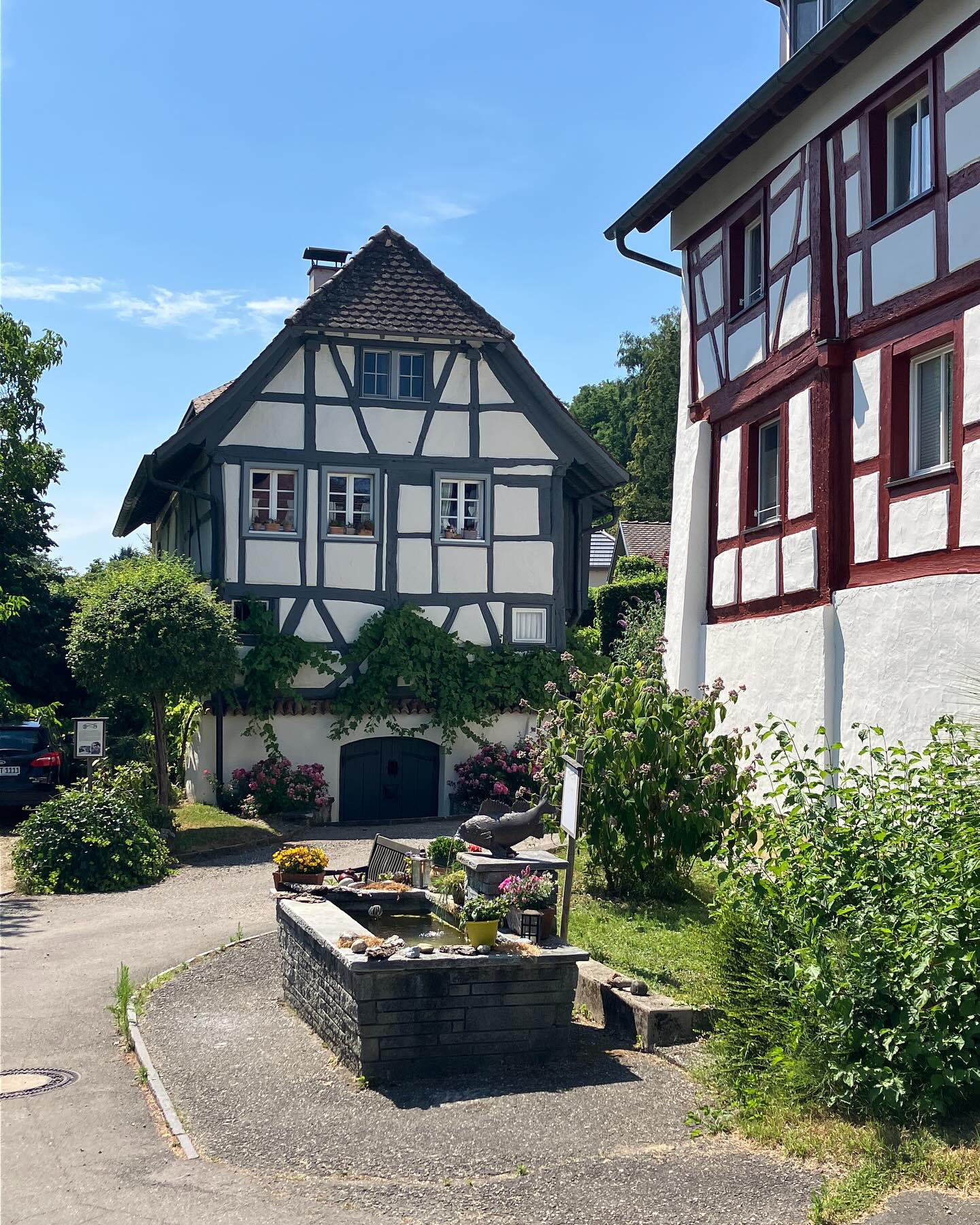 Dag 82 - 18104141905528445.jpg