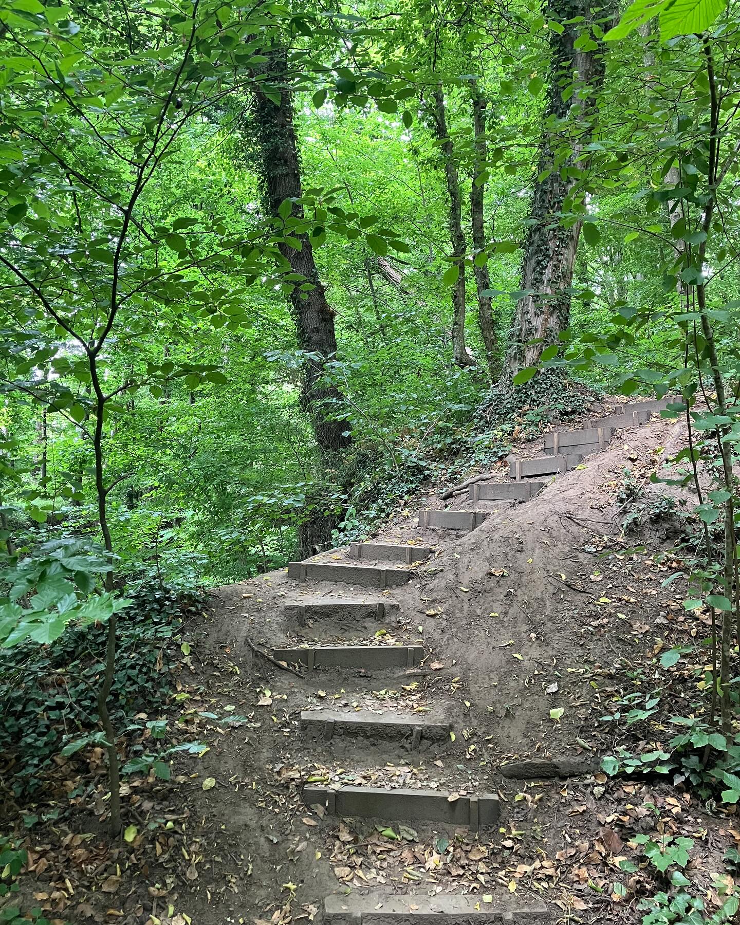 Dag 83 - 17890731528272135.jpg