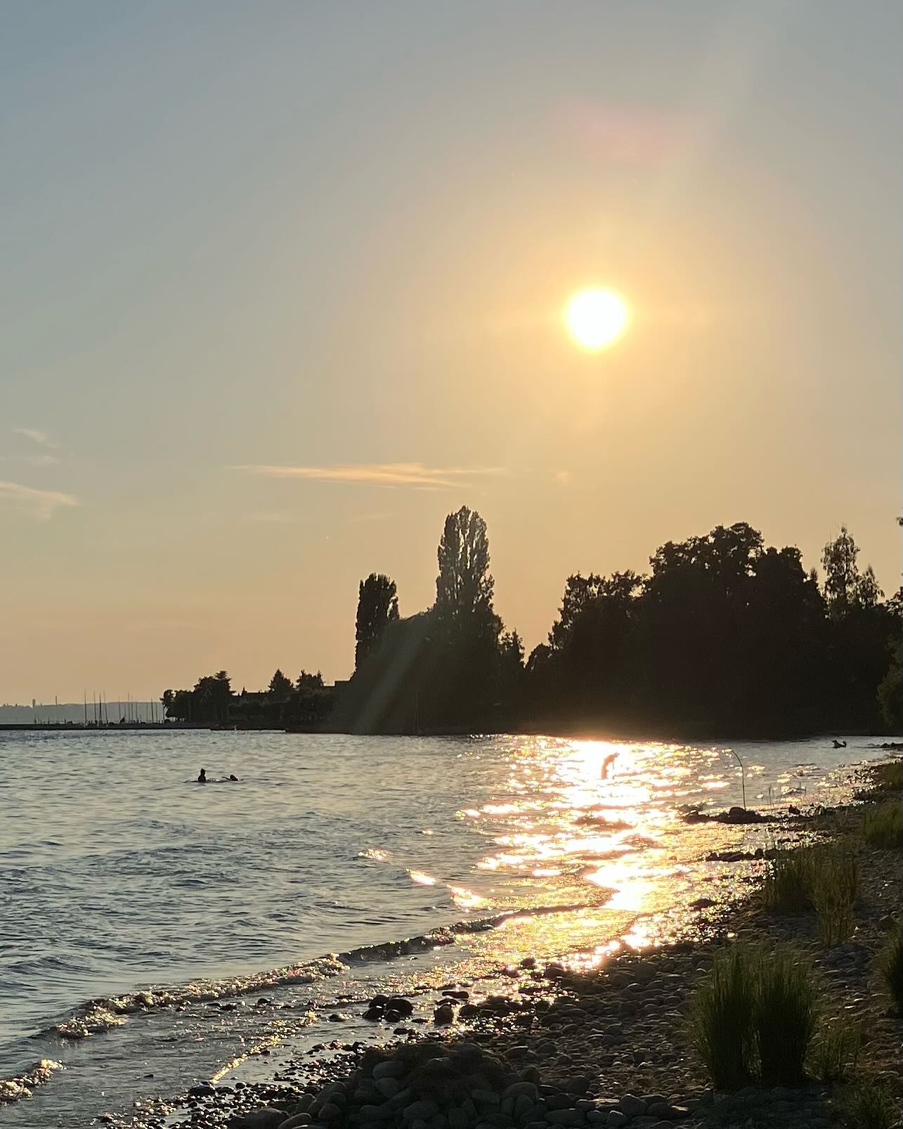 Dag 84 - 17955932819971039.jpg