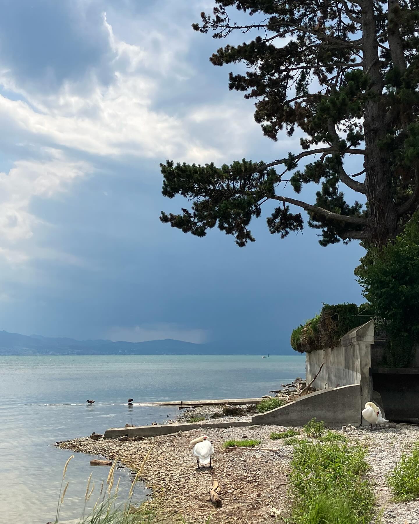 Dag 85 - 17939433612040394.jpg