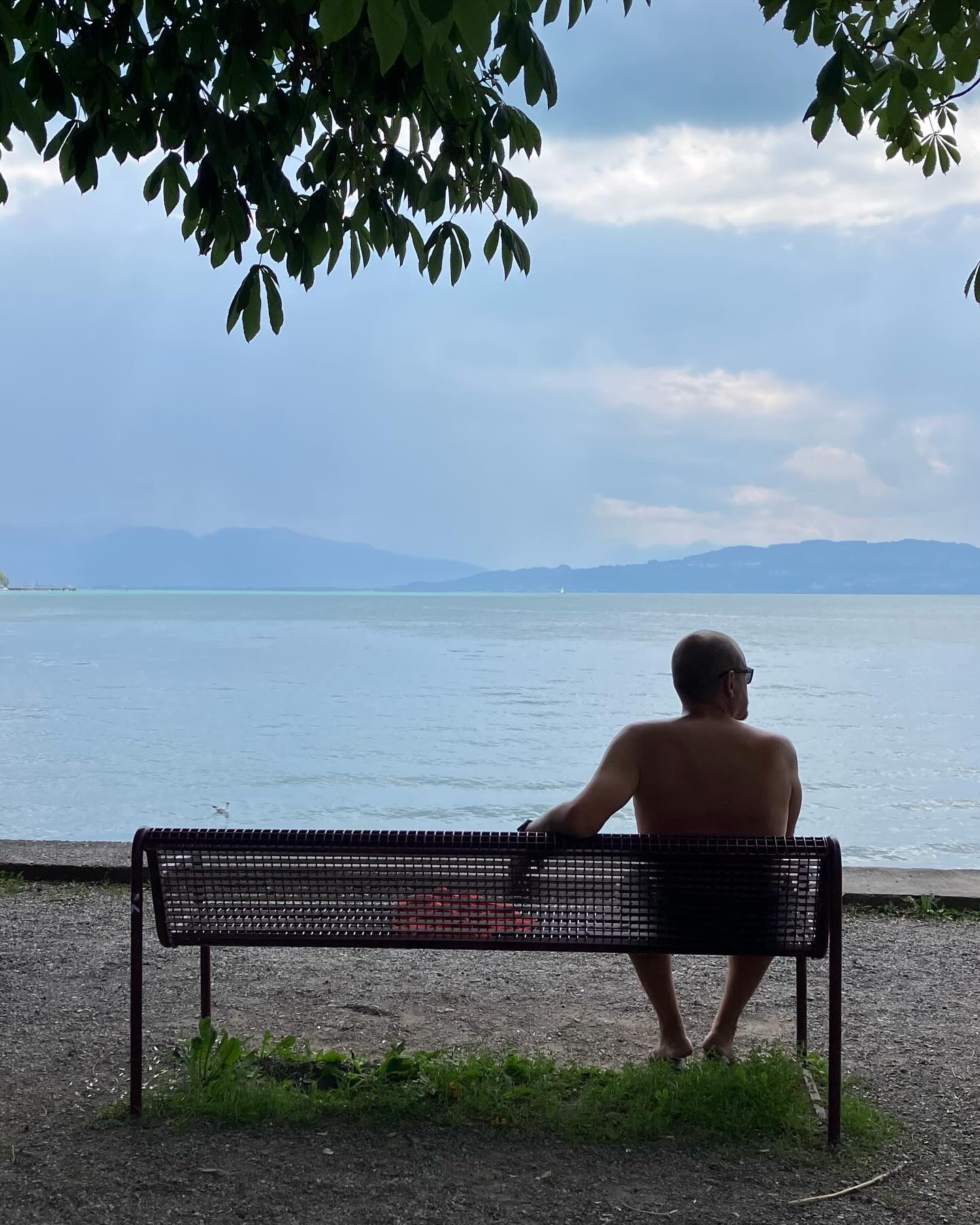 Dag 85 - 17976127340736882.jpg