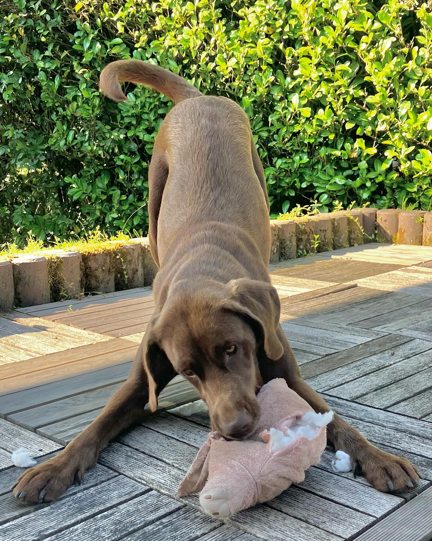 Dag 86 - 17896530141122536.jpg