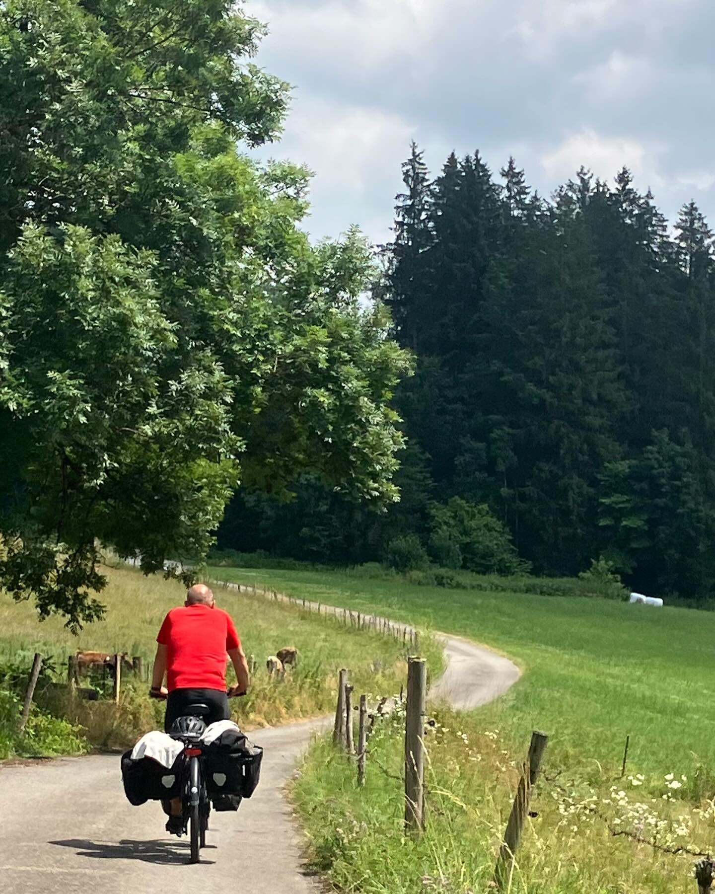 Dag 86 - 18070488566009290.jpg