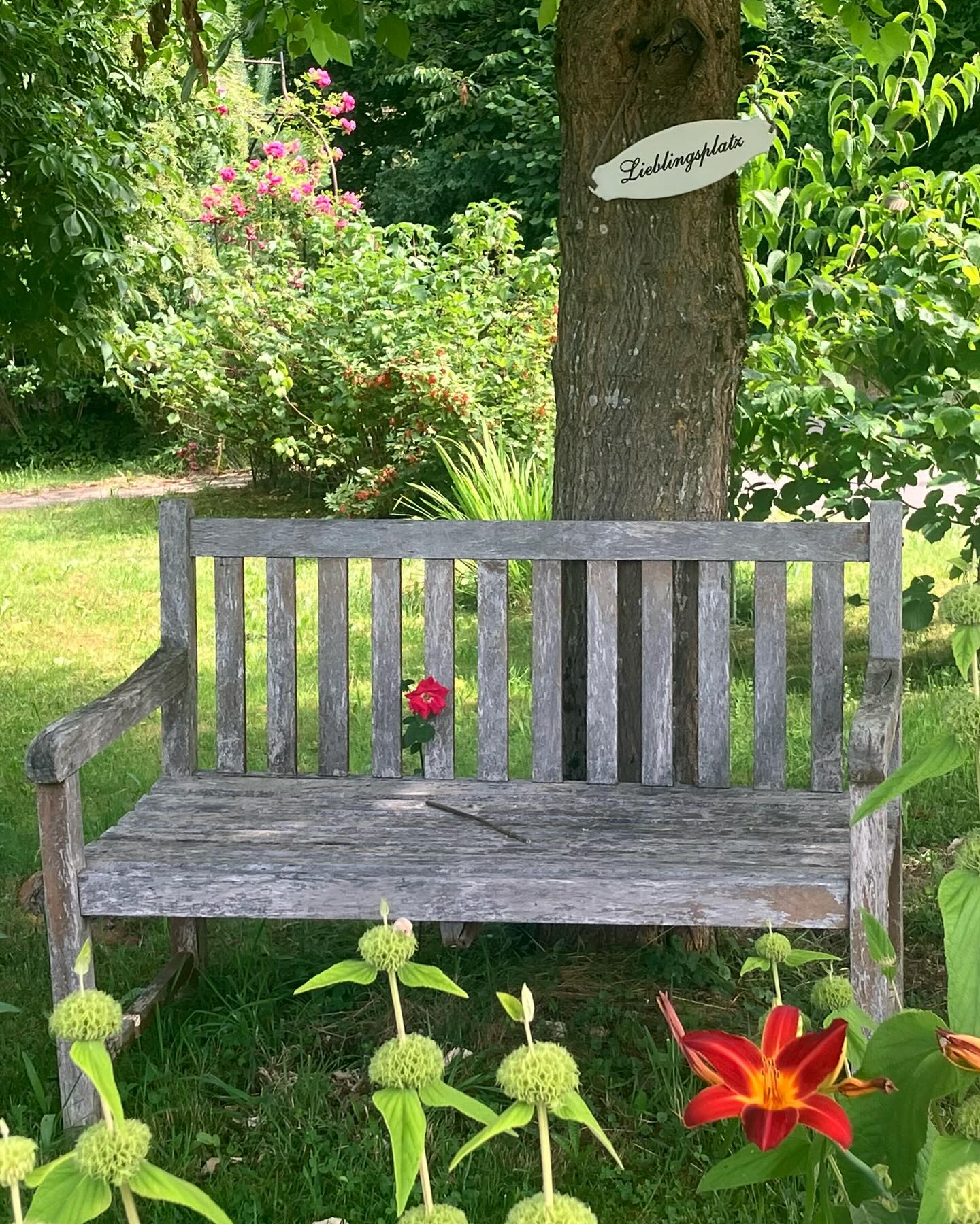 Dag 87 - 18035965613676003.jpg