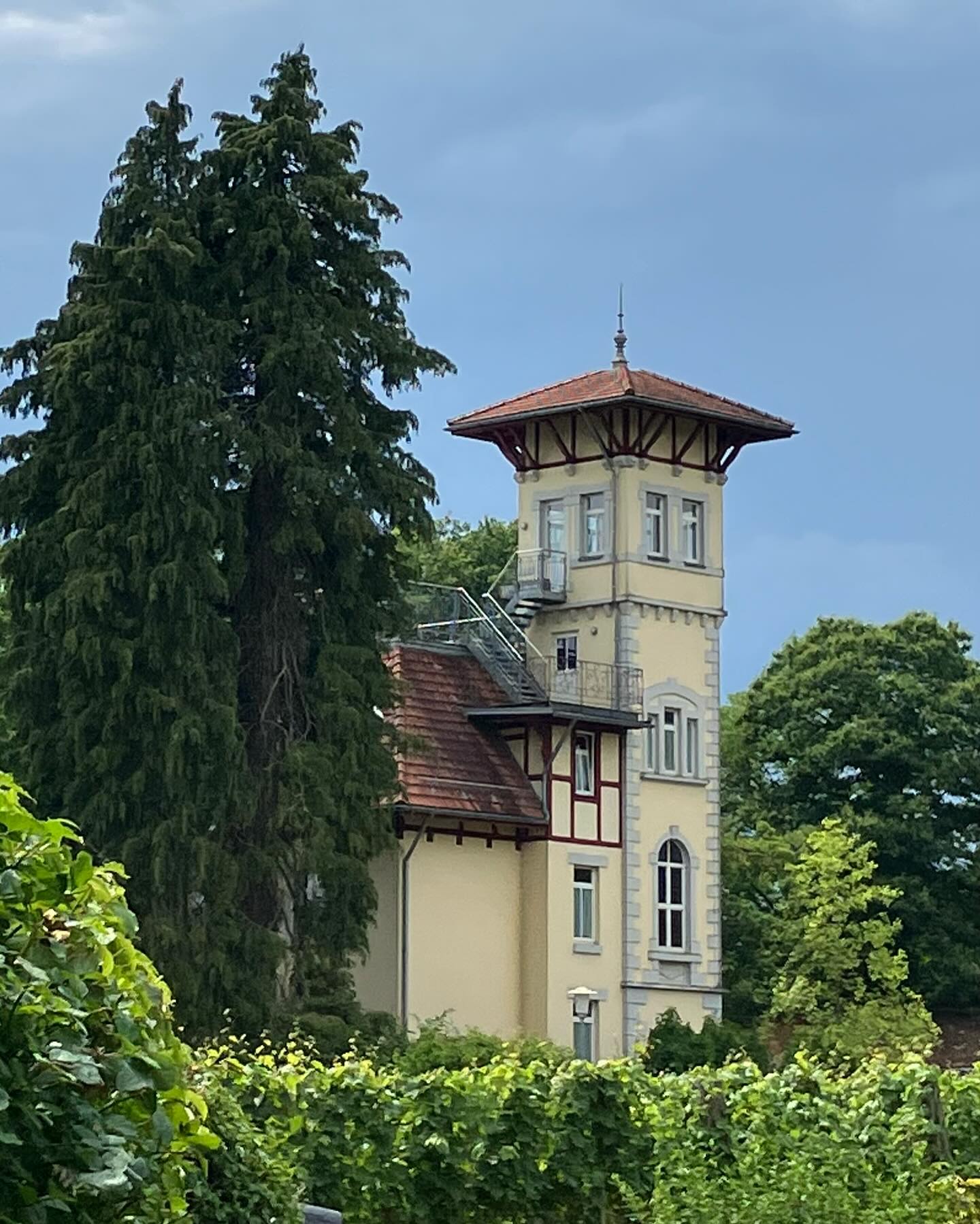 Dag 87 - 18083918329701117.jpg