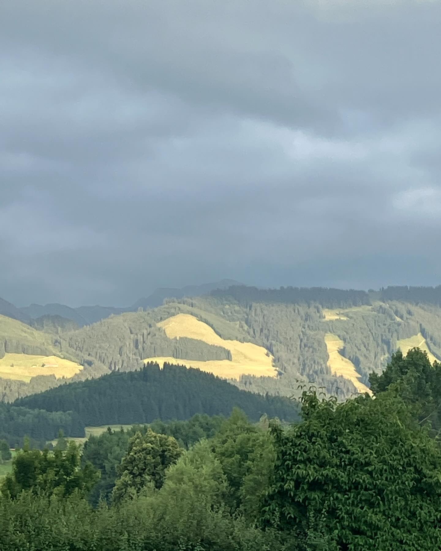 Dag 87 - 18338331772166434.jpg