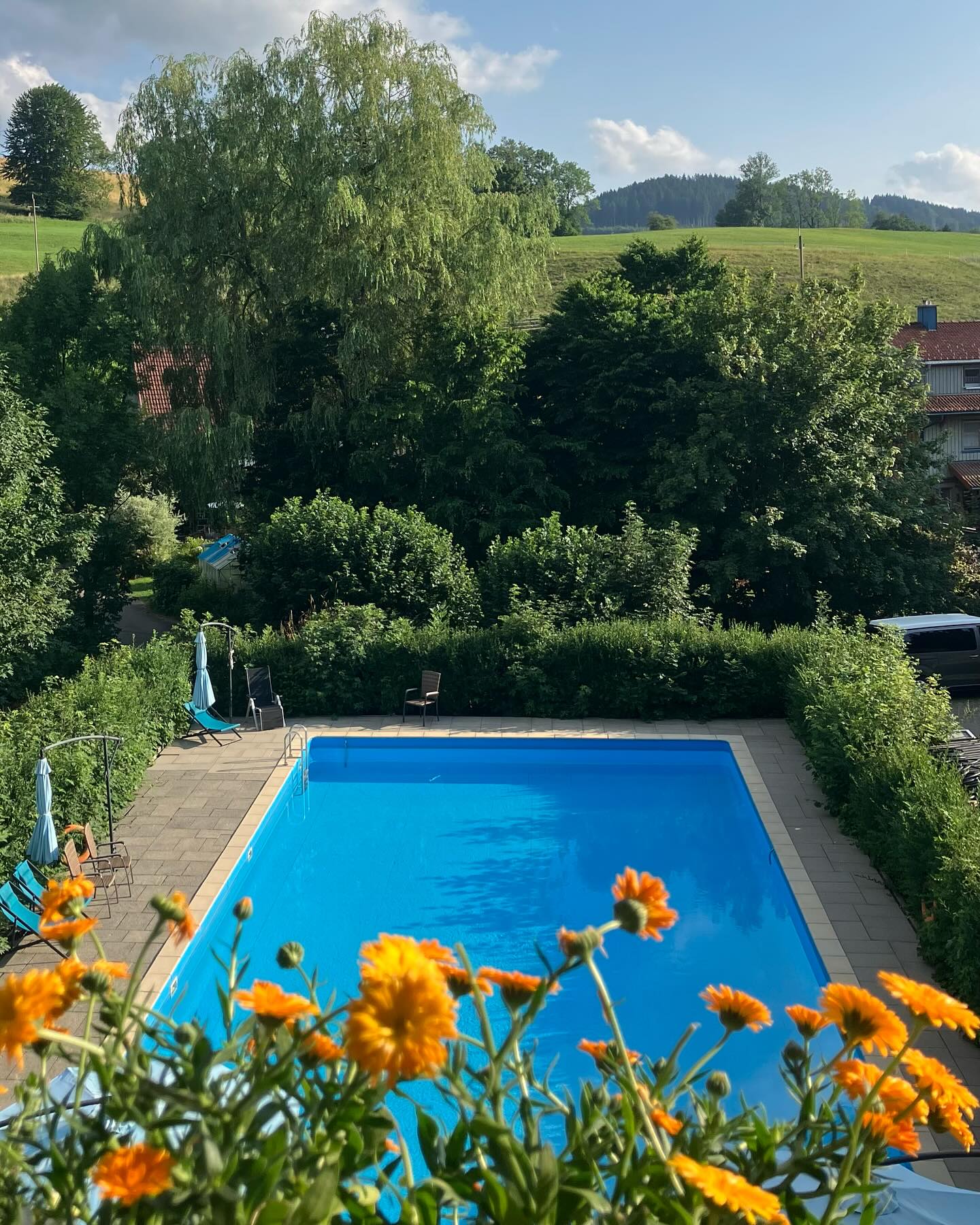 Dag 88 - 18073214458793339.jpg