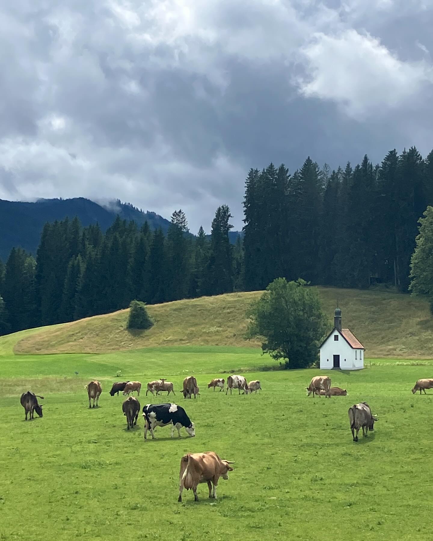 Dag 89 - 17908697664178473.jpg