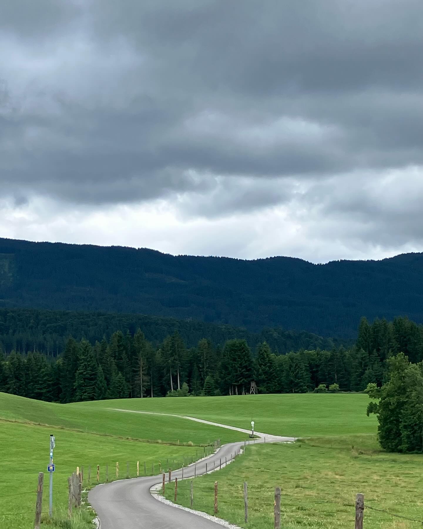 Dag 89 - 18075588404498452.jpg