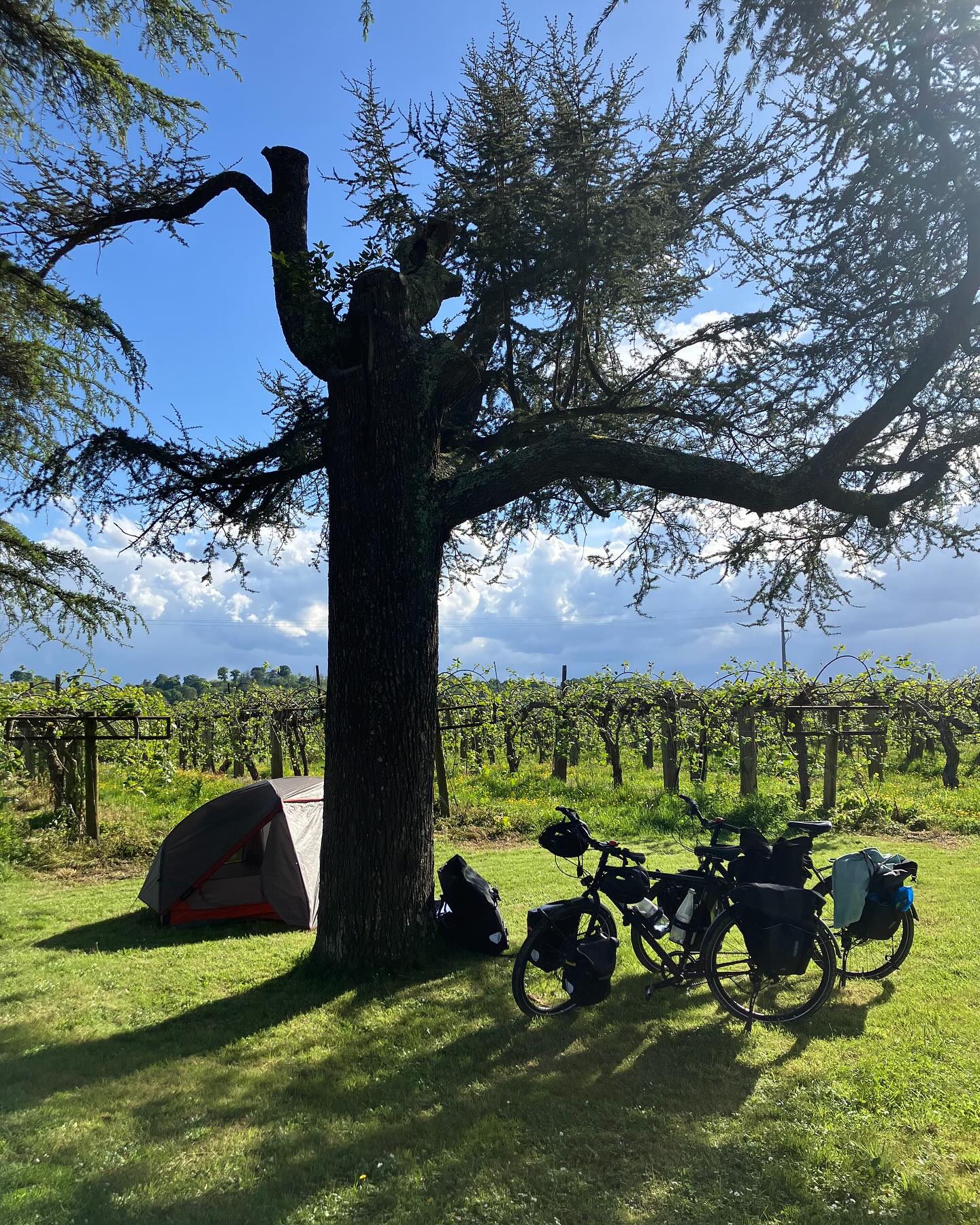 Dag 9 - 17903465580117392.jpg