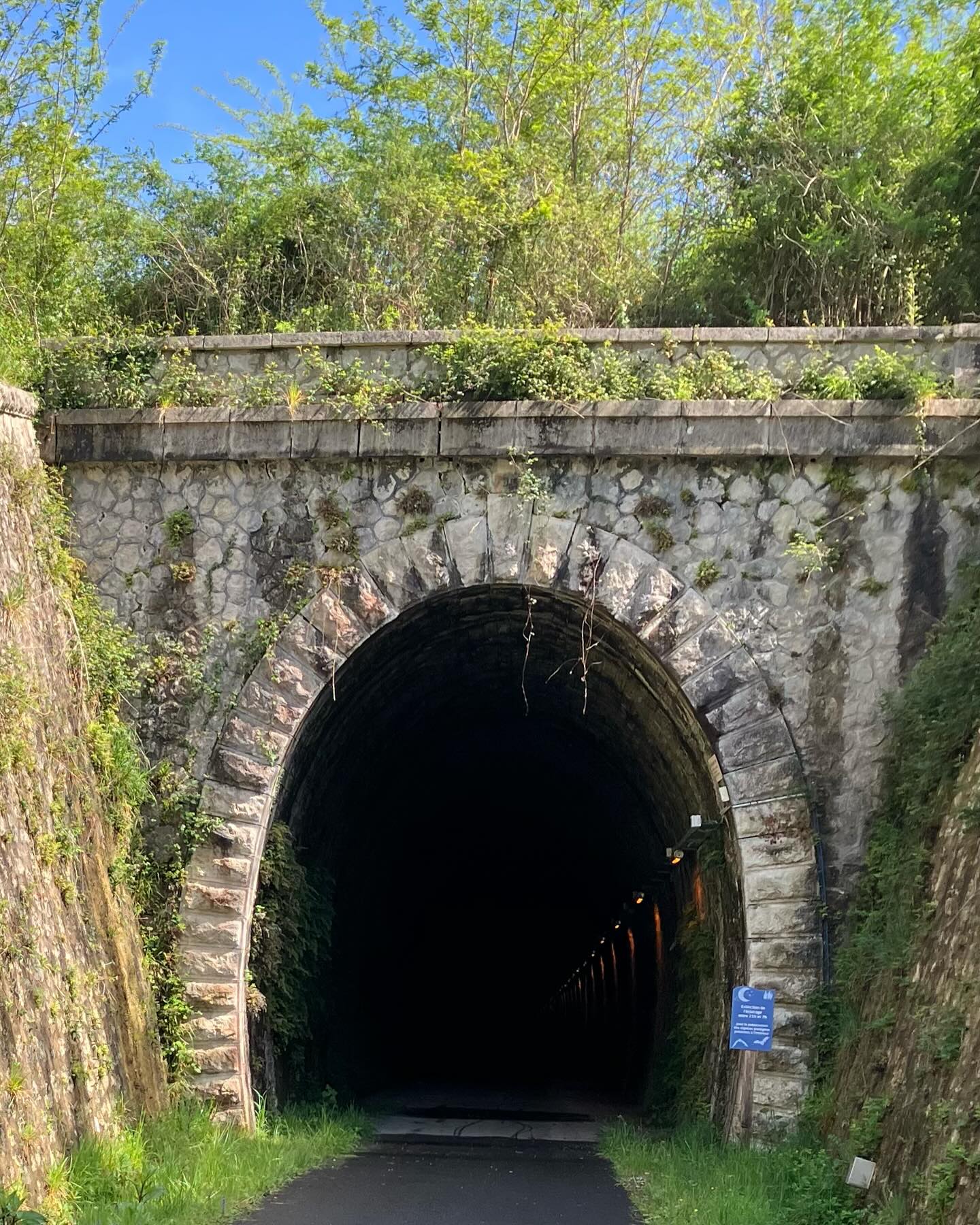 Dag 9 - 18062316178865310.jpg