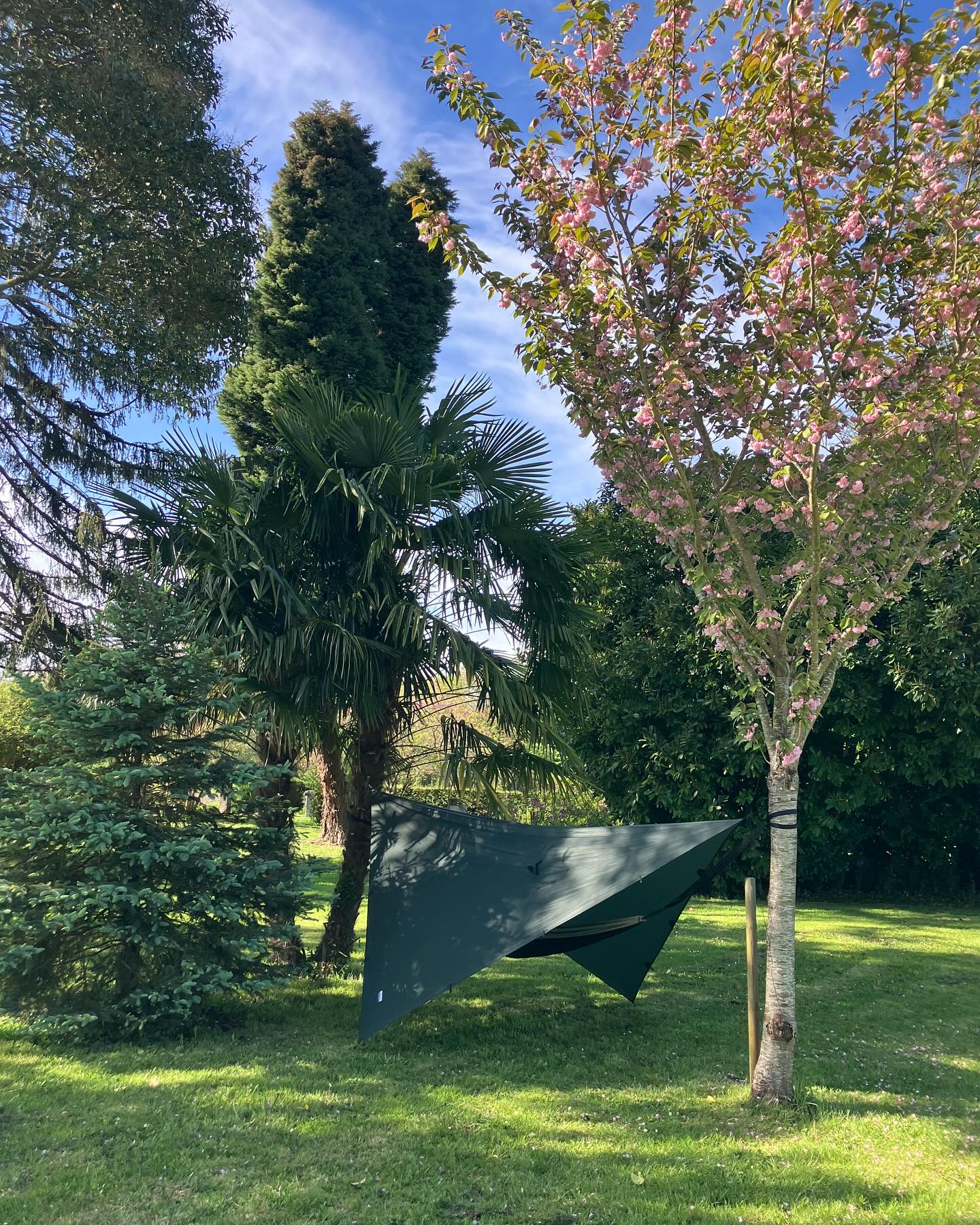 Dag 9 - 18084626353625062.jpg