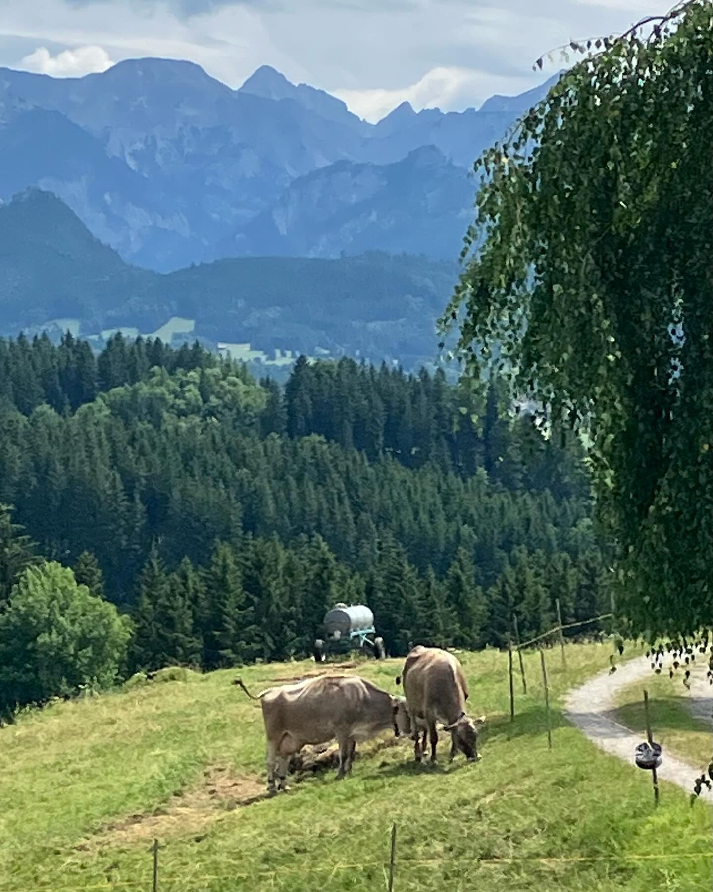 Dag 90 - 17946245415006189.jpg