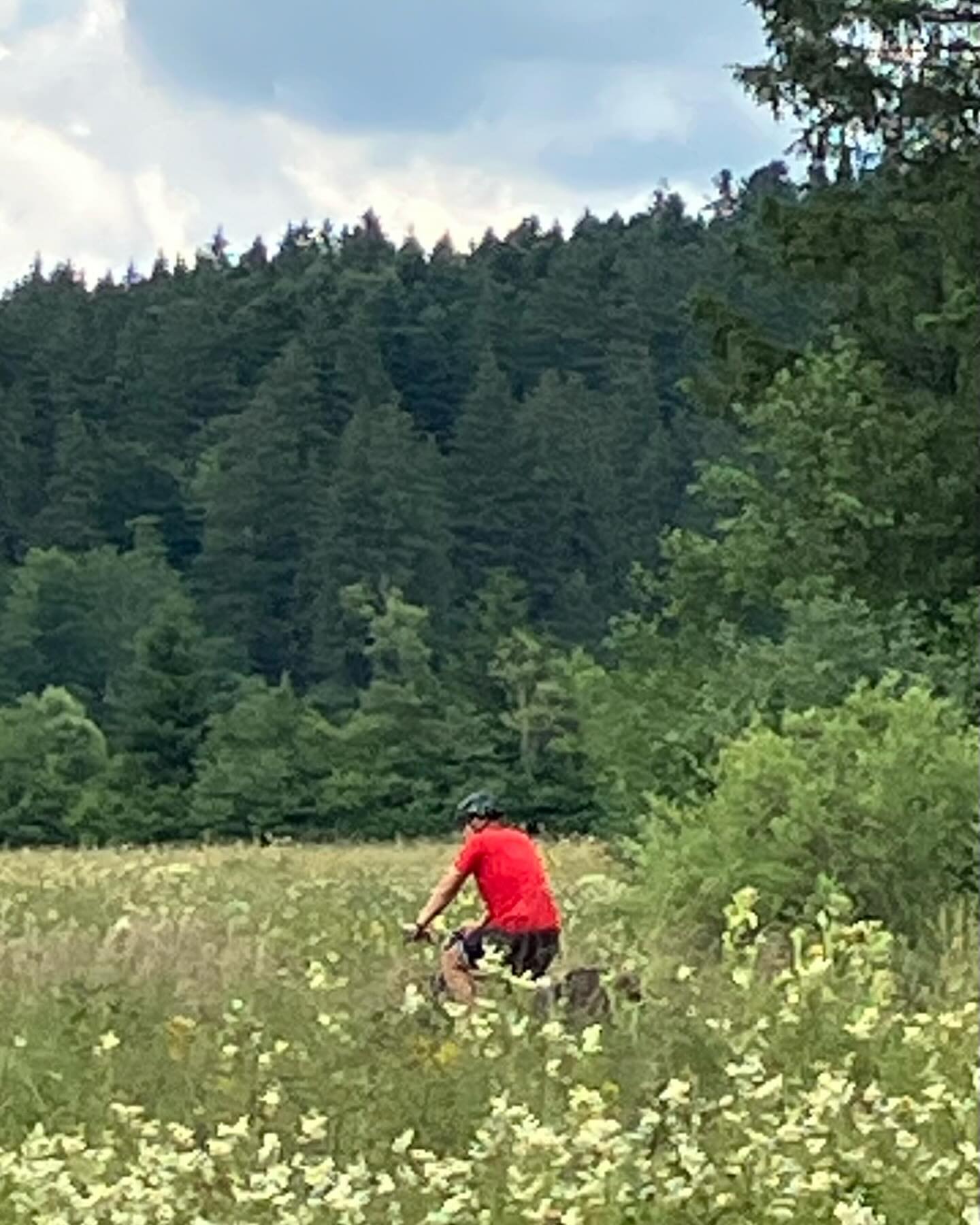 Dag 92 - 18166316086360578.jpg