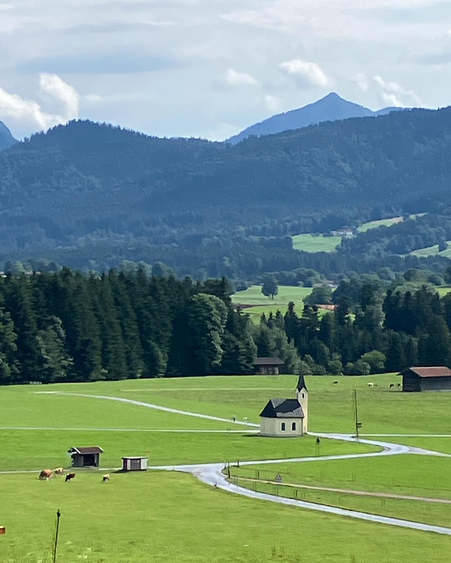 Dag 93 - 18085199467772392.jpg