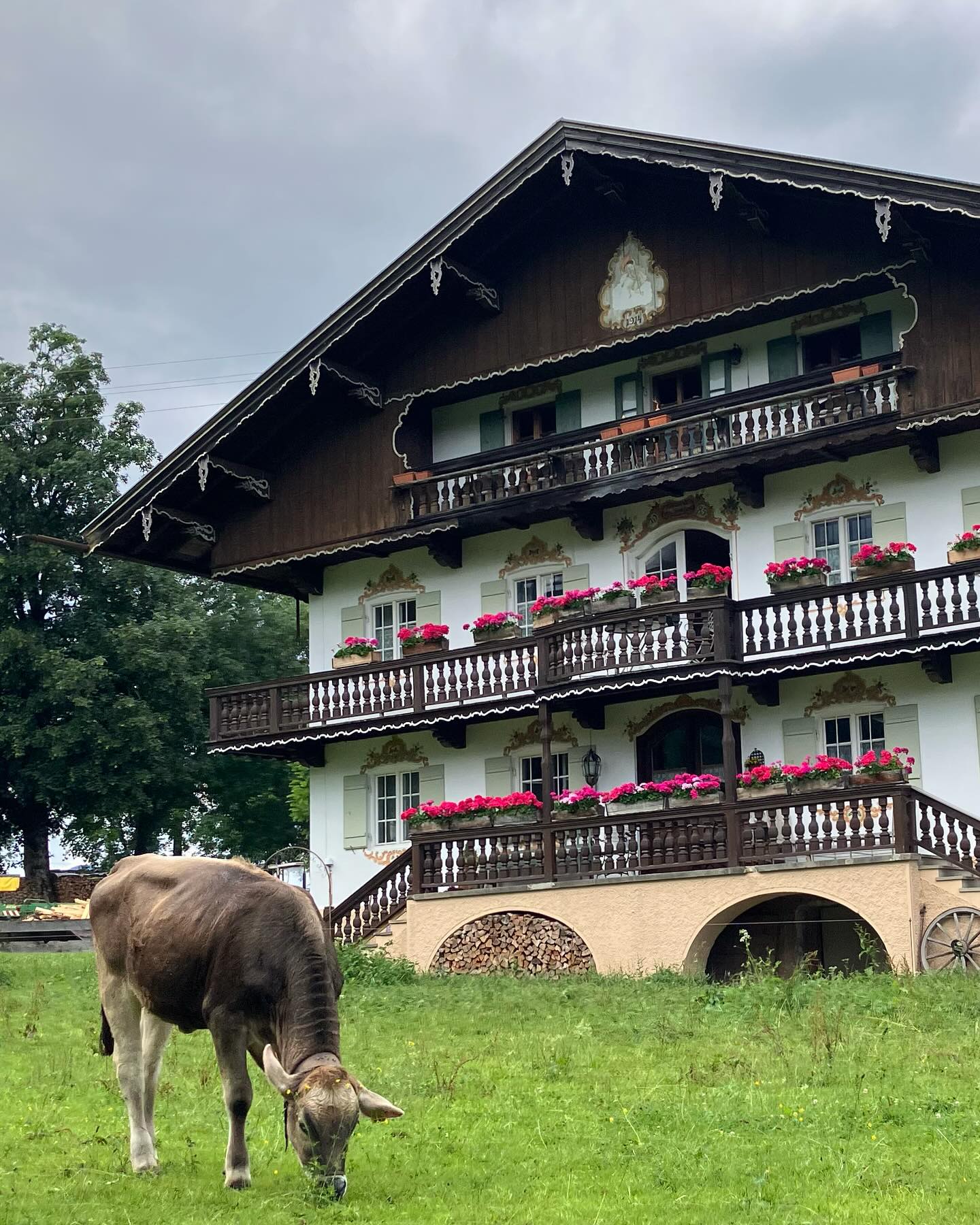 Dag 93 - 18332598052202969.jpg