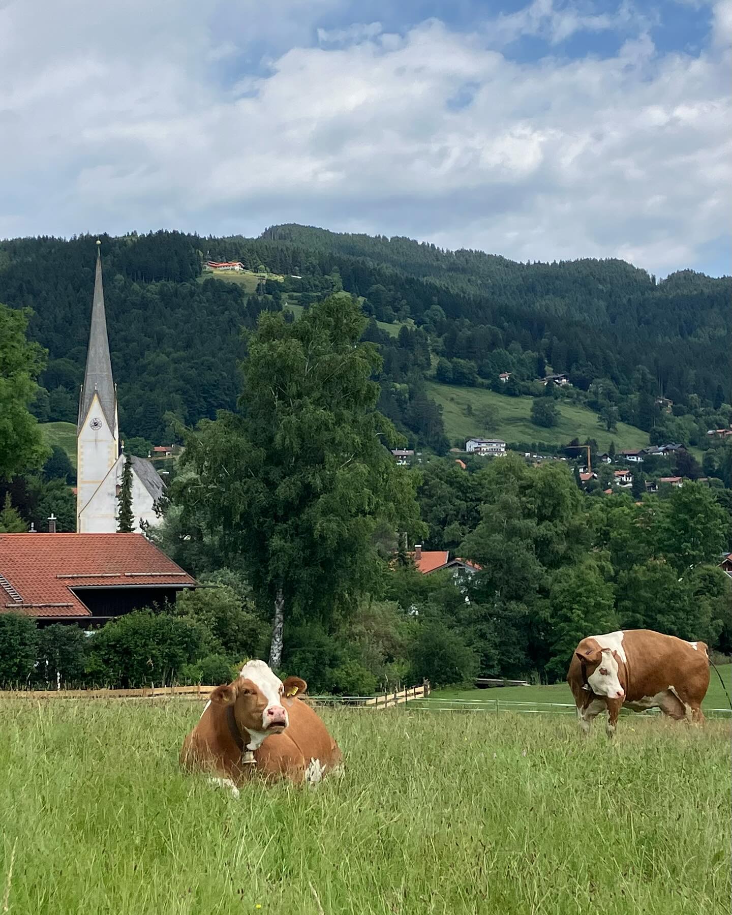 Dag 95 - 18014042963747949.jpg