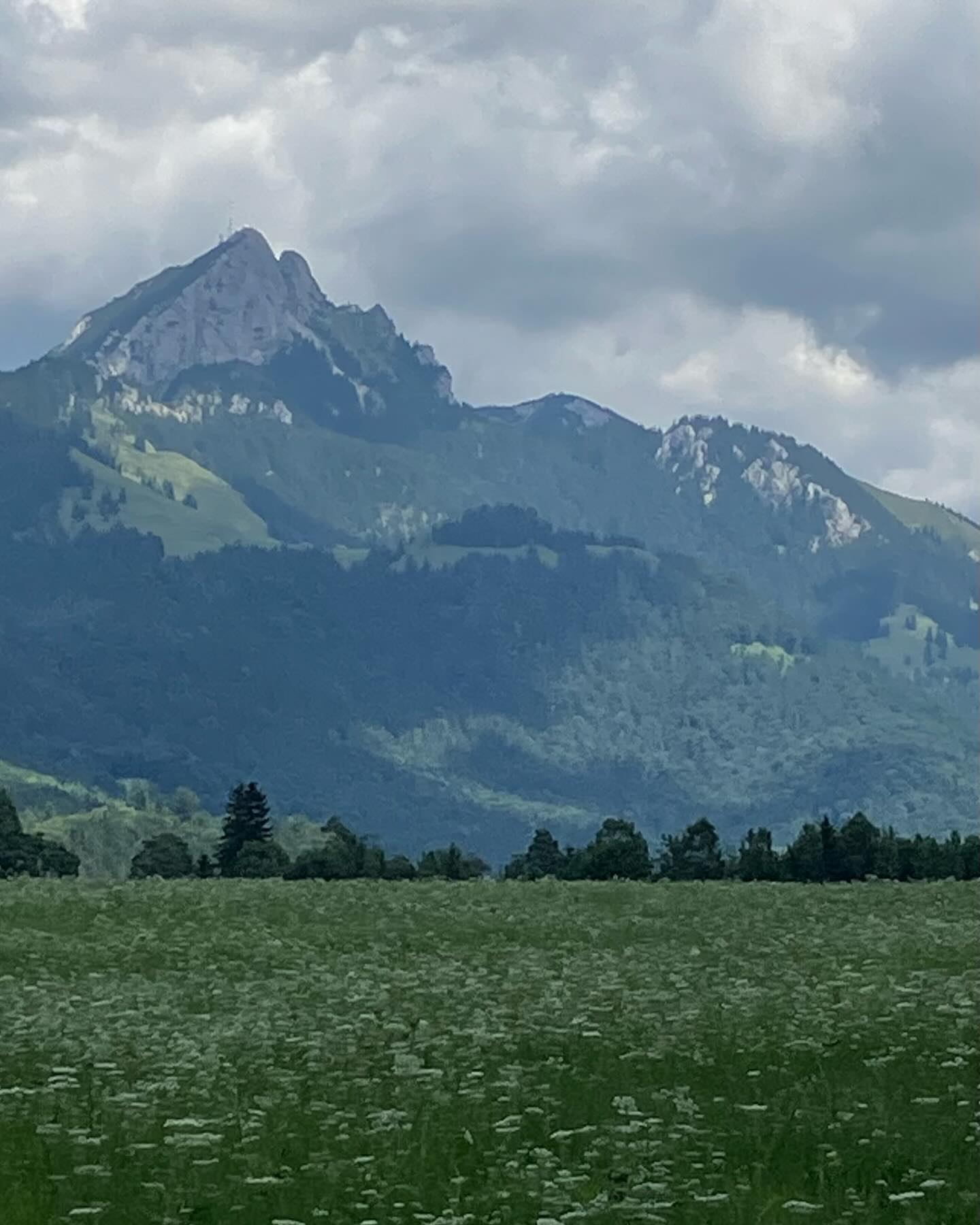 Dag 95 - 18063530675180015.jpg