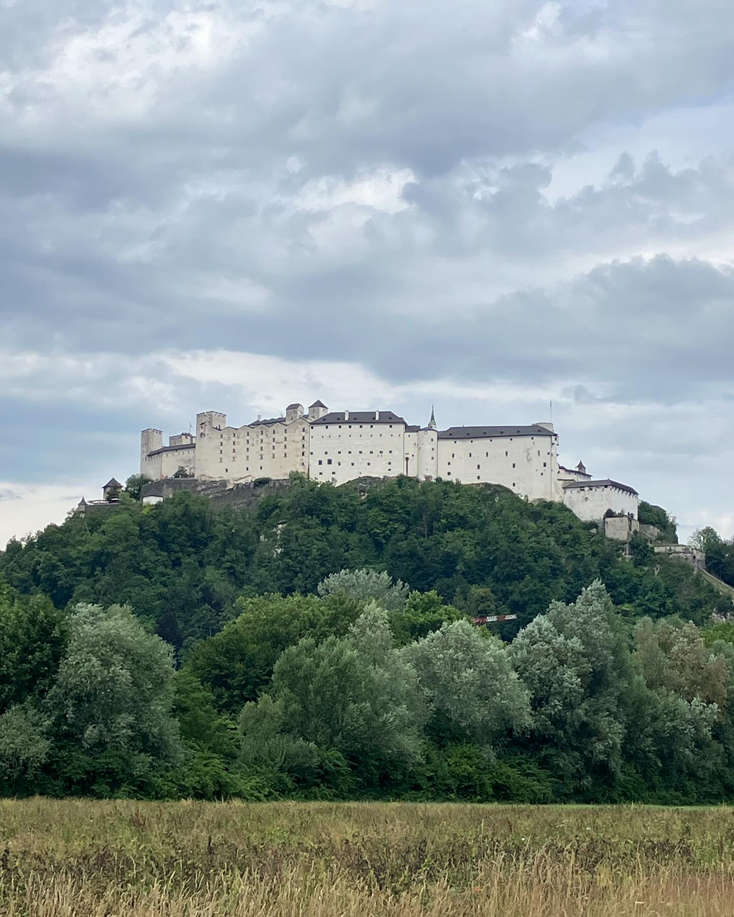 Dag 96 - 18011263538767078.jpg