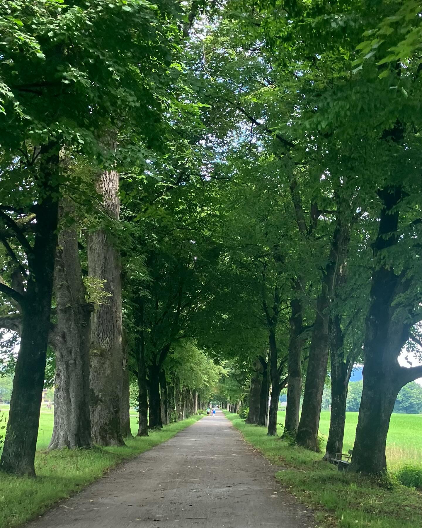 Dag 96 - 18516346192053336.jpg