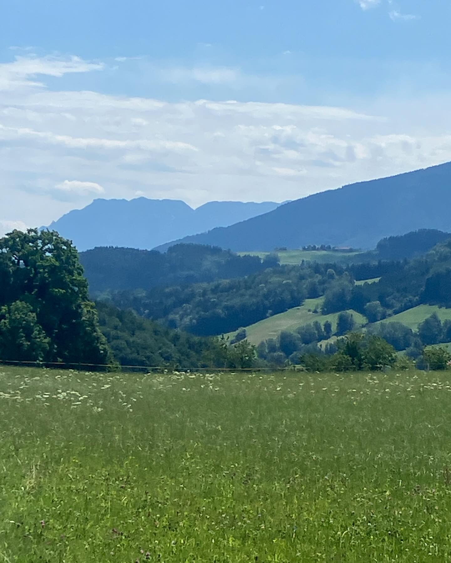 Dag 97 - 18149695171384213.jpg