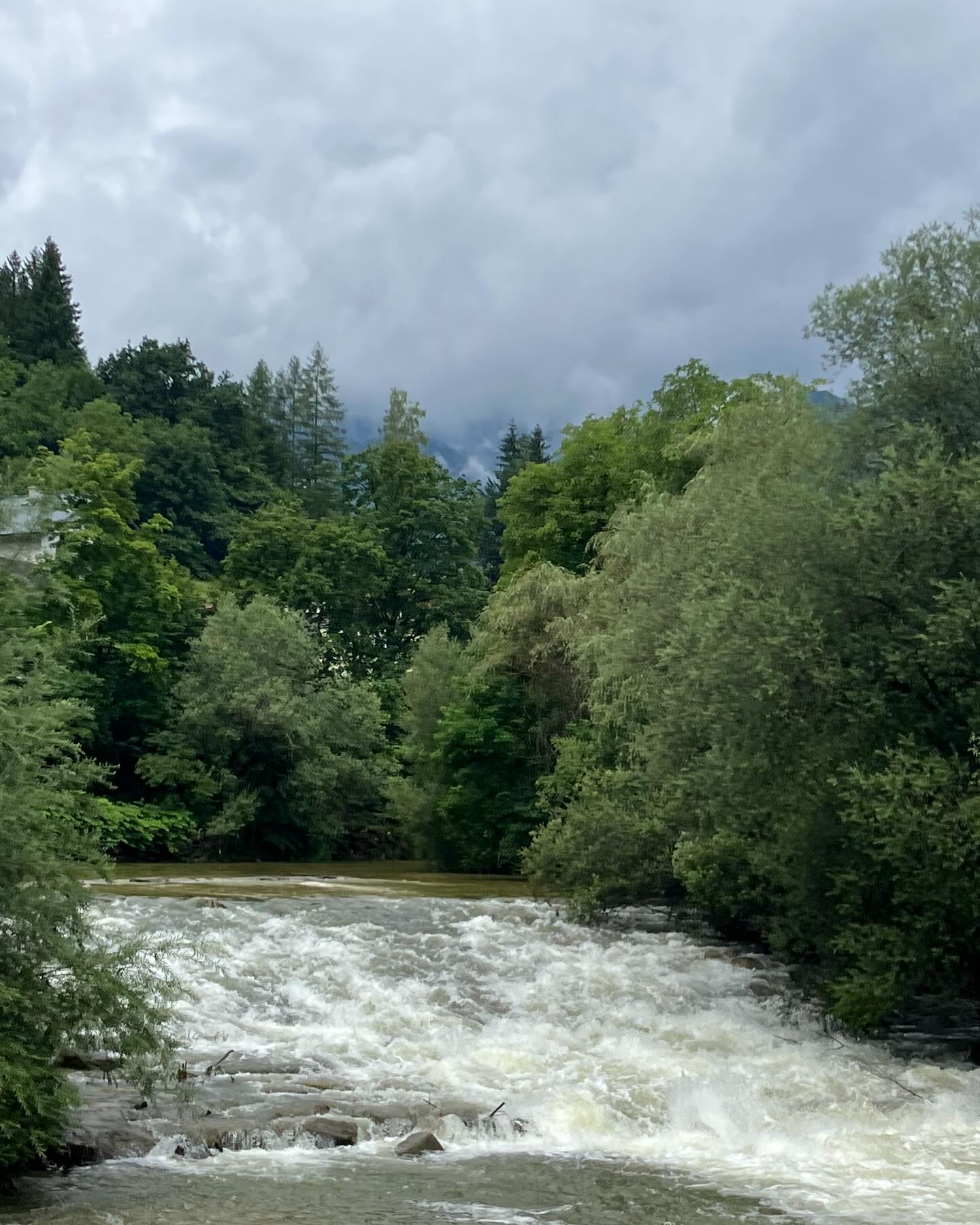 Dag 98 - 18019911818531224.jpg