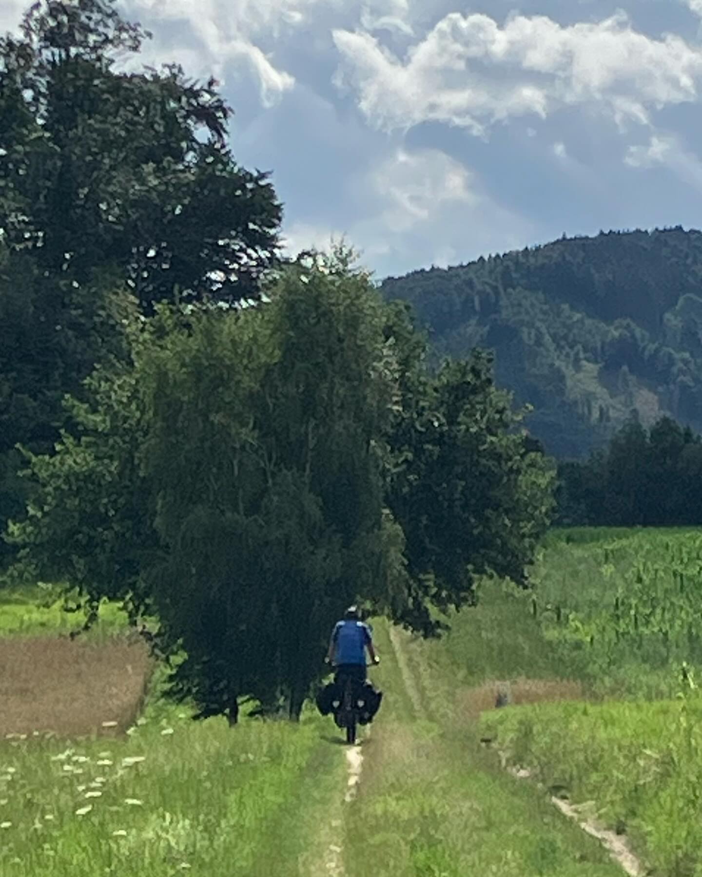 Dag 98 - 18069426815089241.jpg