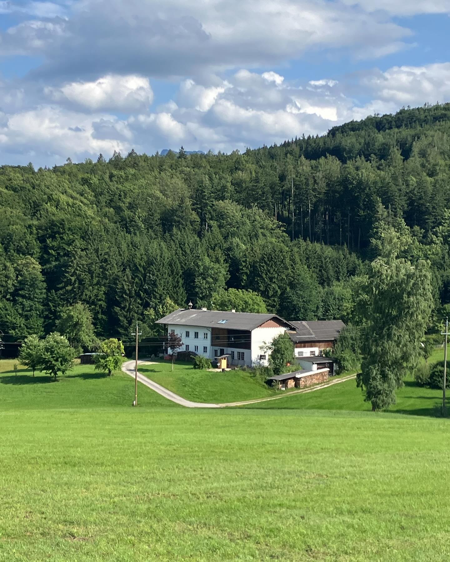 Dag 98 - 18096731440613211.jpg