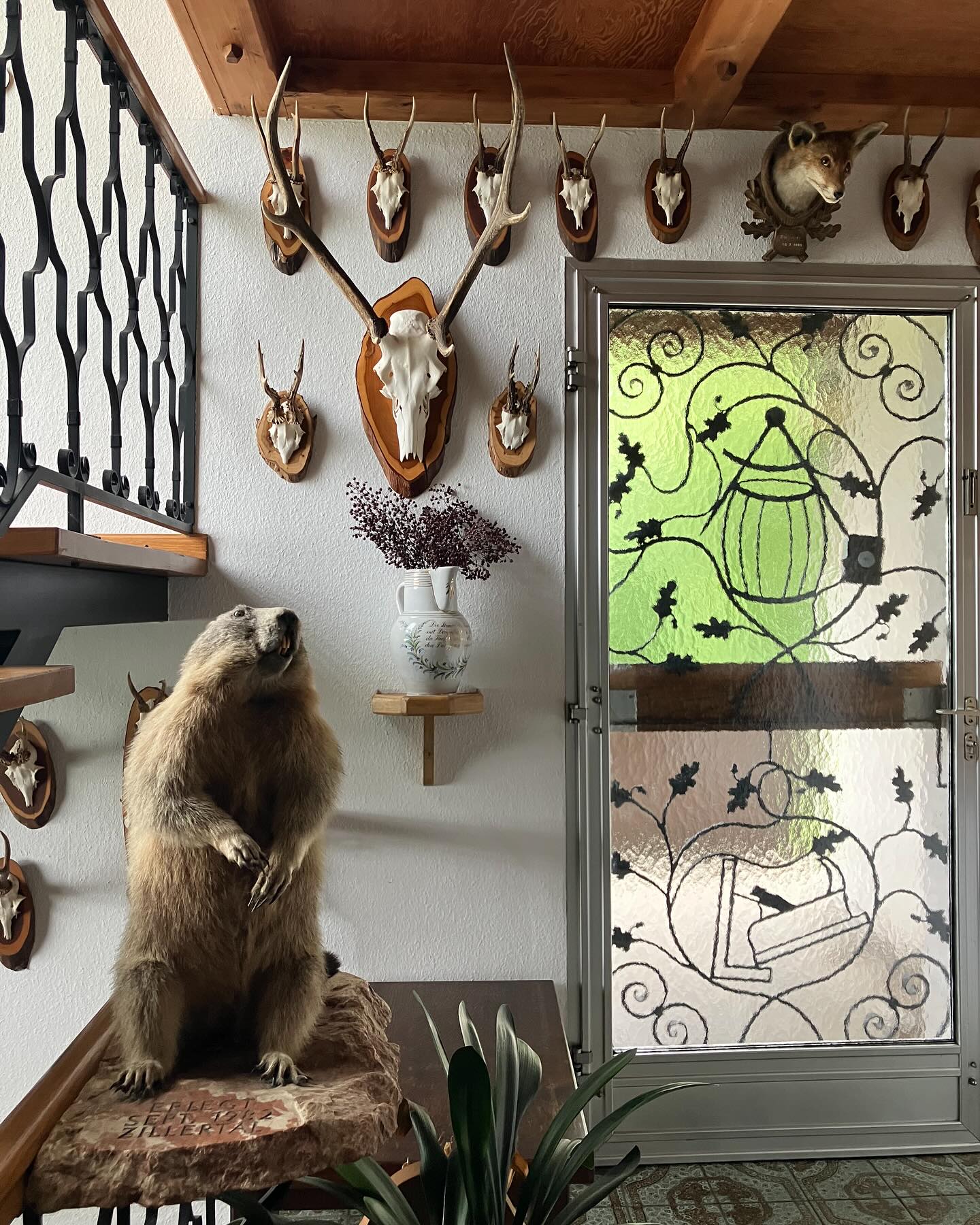 Dag 99 - 17907745479191135.jpg