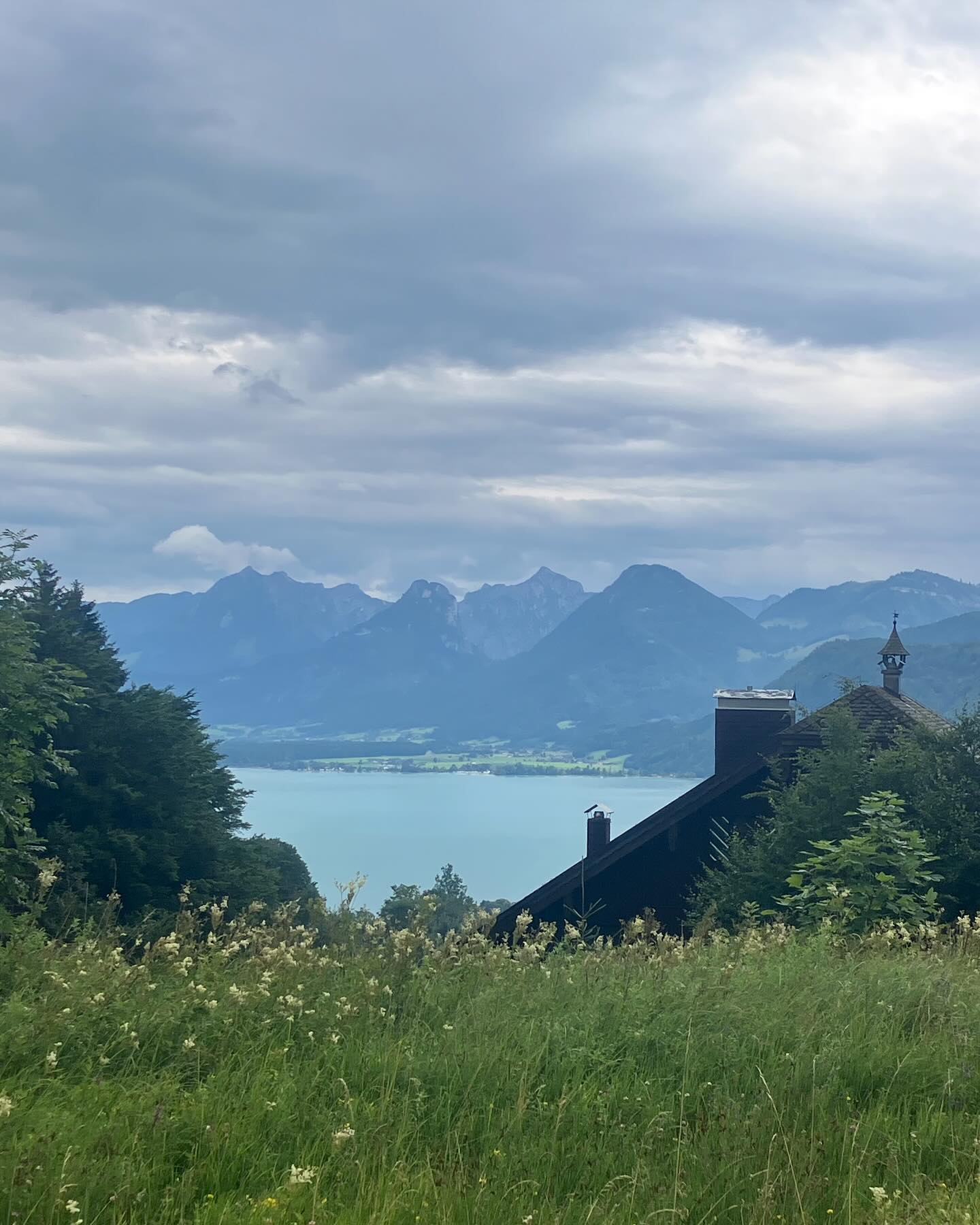 Dag 99 - 18048826106208258.jpg