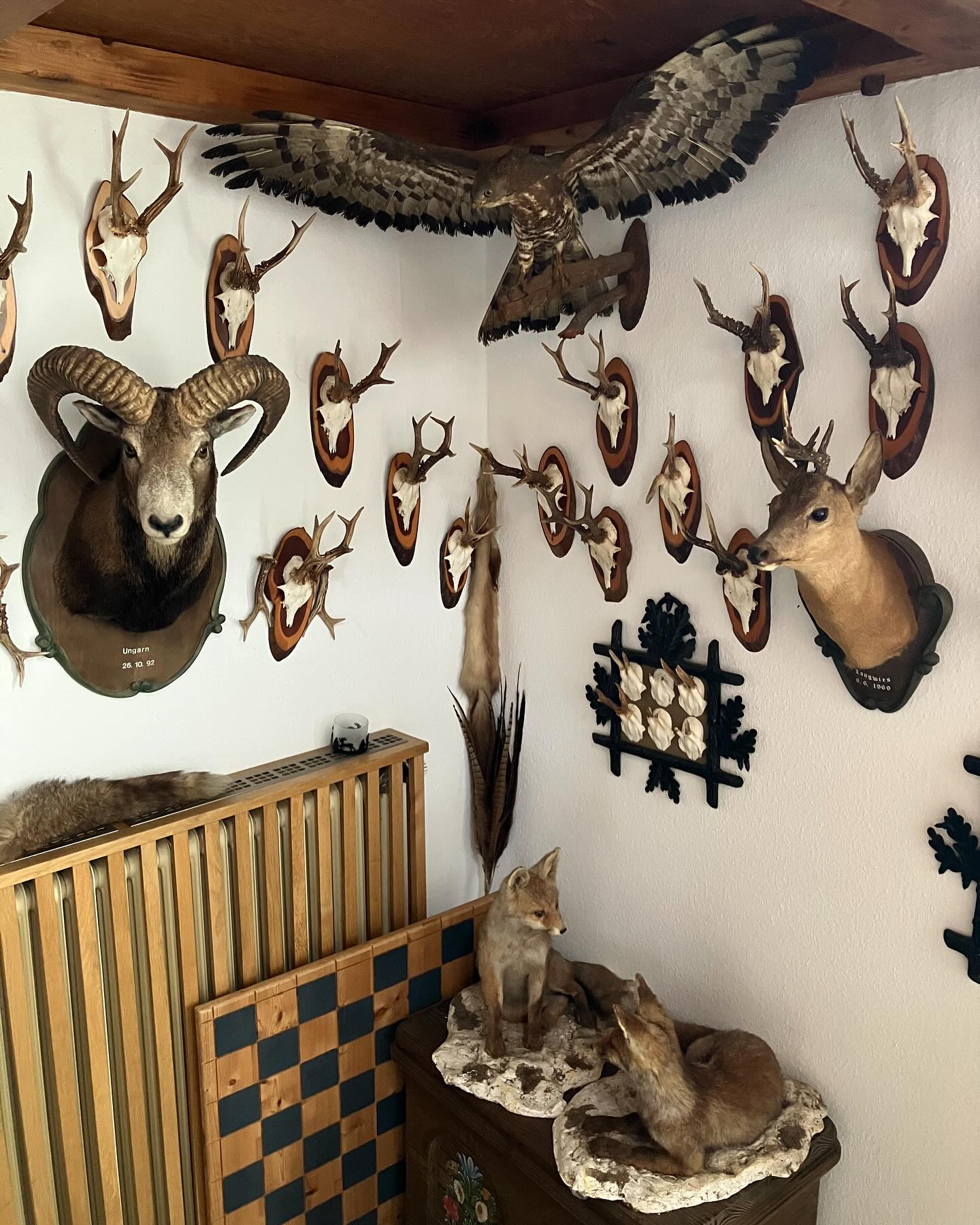 Dag 99 - 18520351603056705.jpg